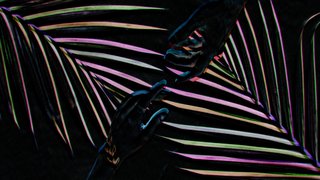 Hands