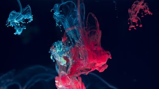 lucas-benjamin-R79qkPYvrcM-unsplash