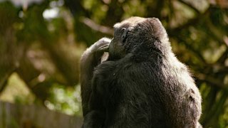 anthony-sebbo-KqrNB6efKZU-unsplash