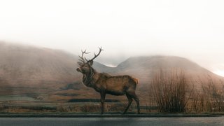 asa-rodger-B8xmtKWLrVo-unsplash