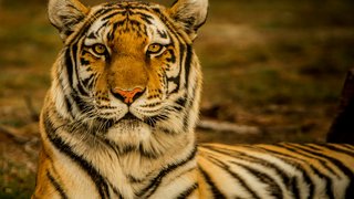 blake-meyer-5RBXc7R-YWs-unsplash