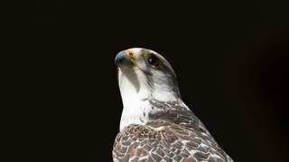 daniela-kalwarowskyj-gCI_kgOC3do-unsplash