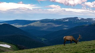 dave-willhite-B8qYoRYS-tY-unsplash