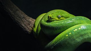 david-clode-5uU8HSpfwkI-unsplash