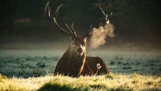 diana-parkhouse-YNQrwks9uG8-unsplash