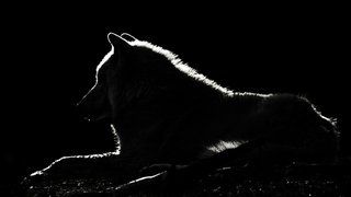 fabian-lauer-8YLfK3cs0UQ-unsplash