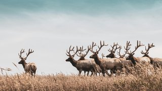 hari-nandakumar-6tGANJJC7lg-unsplash