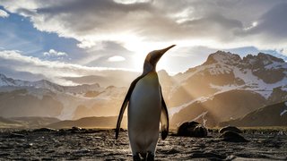 ian-parker-TLcLDigmTKE-unsplash