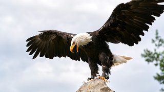 ingo-doerrie-TQWAmOShbEM-unsplash
