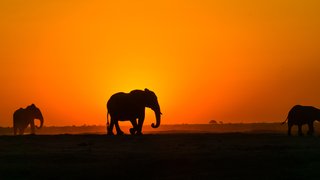 jordan-heinrichs-UpA6QvGpLHc-unsplash