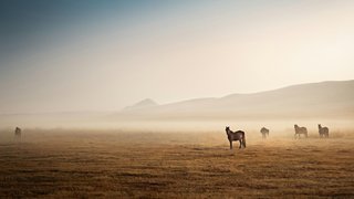 joseph-daniel-7FprFl6VIu8-unsplash