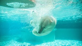 matthew-mazzei-LfGqCrLmhp0-unsplash