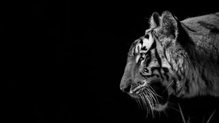niket-goswami--BnqqHaeFq4-unsplash