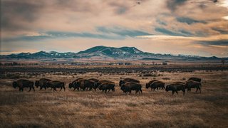 nils-huenerfuerst-9aTq1QcnJek-unsplash