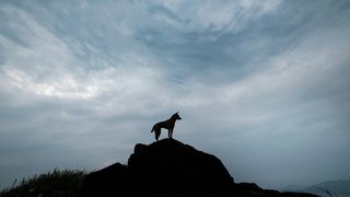 patrick-desloge-tgqdM6VQy2E-unsplash
