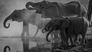 richard-jacobs-8oenpCXktqQ-unsplash
