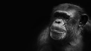rishi-ragunathan-fs6NPHYMN7o-unsplash