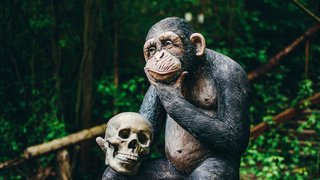 sebastian-hages-Jn67_91aoOg-unsplash