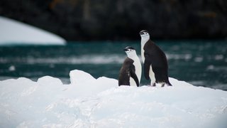 torsten-dederichs-WRrGflm_Umo-unsplash