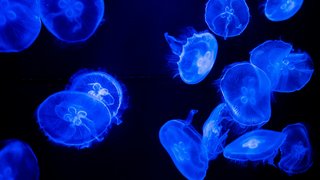 xyrene-Gf-QlgCmnyQ-unsplash