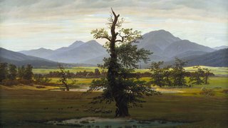 ARTWORK-lonely-tree
