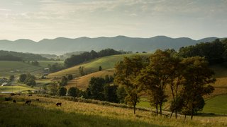 matthew-lancaster--nVhhrnQvSU-unsplash