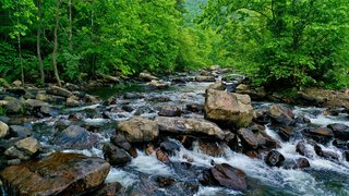 mitchell-kmetz-5a3gboOg9qc-unsplash