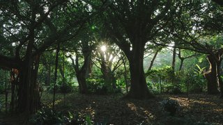 utakaha-5C7jwiUDhYU-unsplash