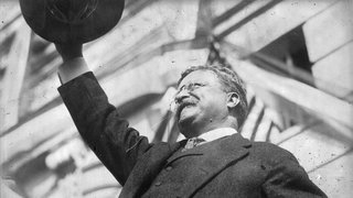 tedd-roosevelt-C