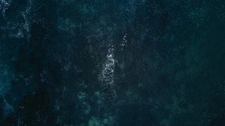 PLACES-la-jolla-cove