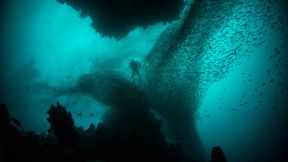 alex-rose-ccWJHxUeM7c-unsplash