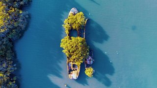emjeii-beattie-CHyQZIMPYRk-unsplash