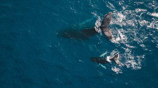guille-pozzi-PO0UHx-5mHo-unsplash