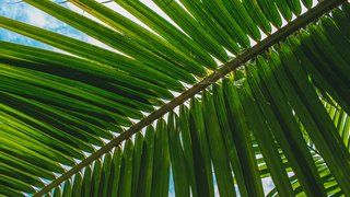 romeo-a-rZ7vGf5fzyM-unsplash