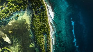 shifaaz-shamoon-4mQbBC6Do0Y-unsplash