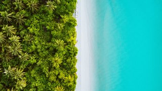 shifaaz-shamoon-58GWNC-hq_k-unsplash