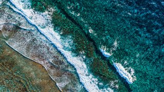 shifaaz-shamoon-ikVBaapsTPg-unsplash