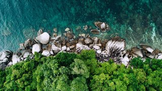 shifaaz-shamoon-nl4UmJuc-gw-unsplash