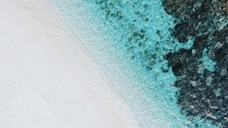 syd-sujuaan-FywWHwkizaQ-unsplash