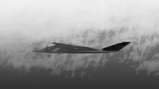 nighthawk
